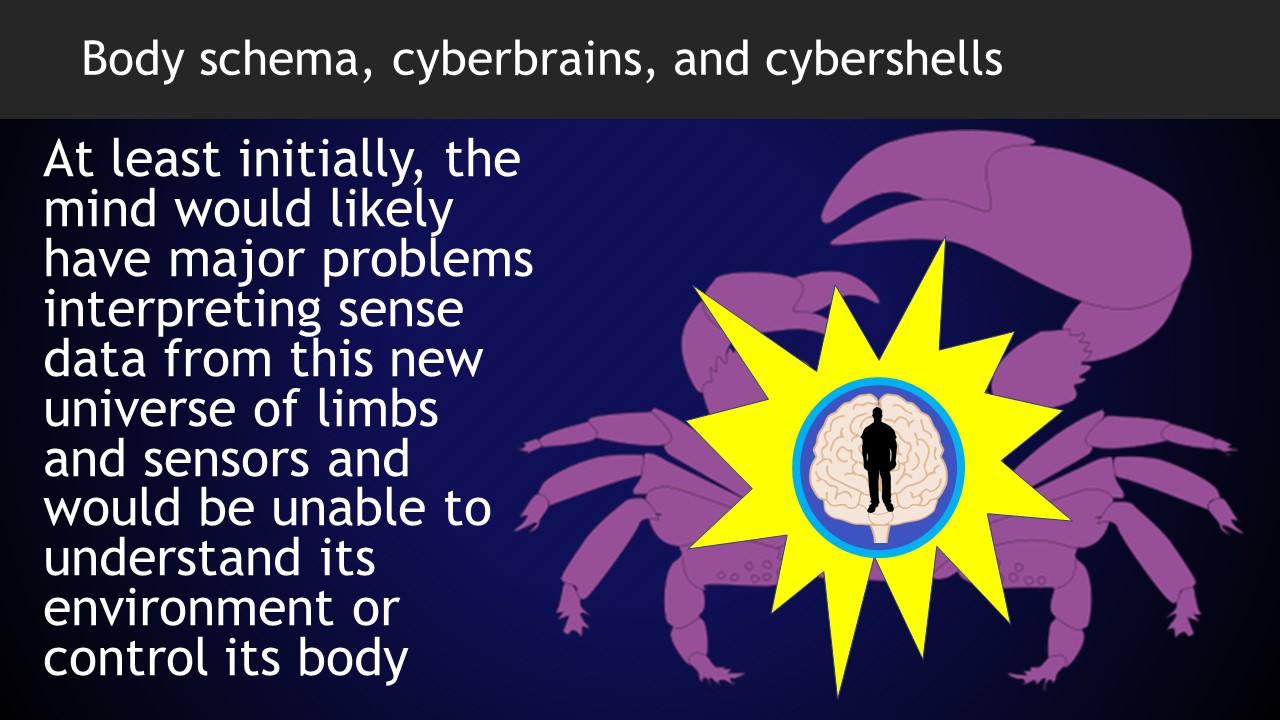 Featured image of post Cybershell Avatar Get access to exclusive content and experiences on the world s largest membership platform for artists and creators